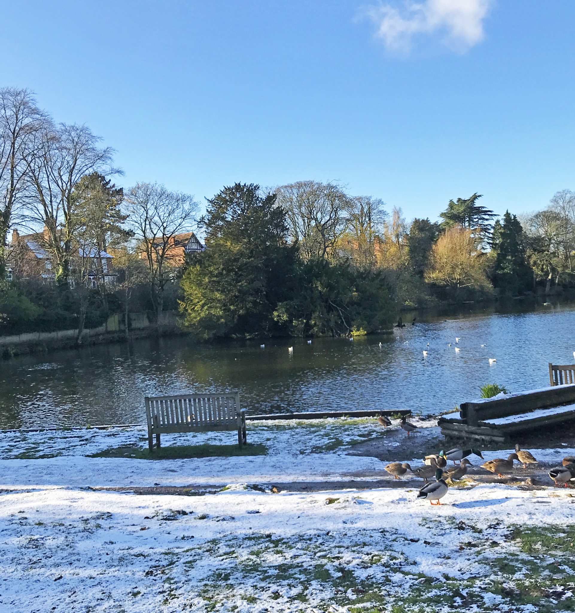 gallery-moseley-park