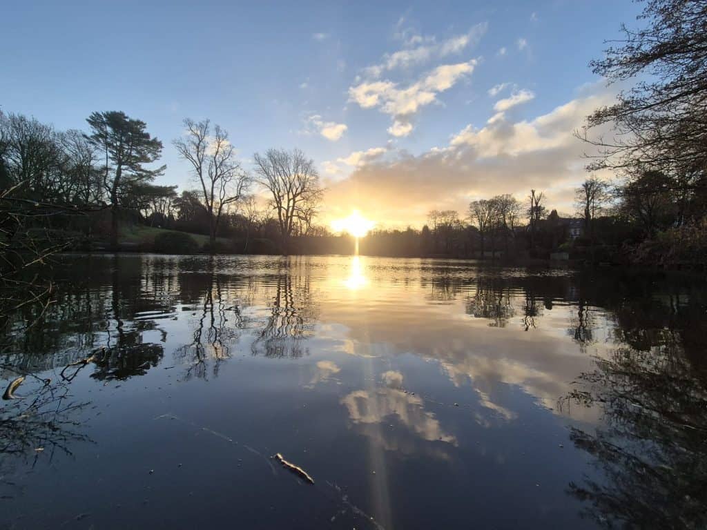 A photo of the pool in Moseley Park with beautiful amber light silhouetting the trees